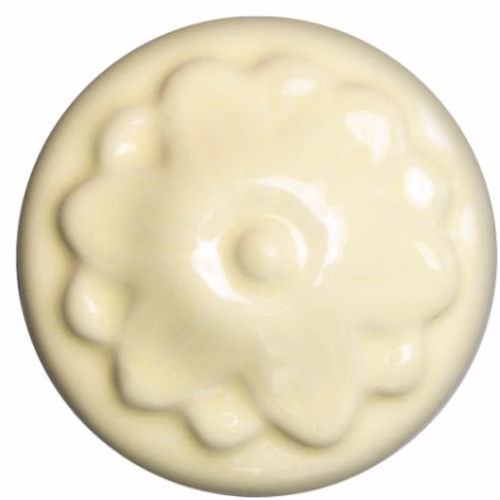 Sand Dollar