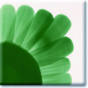 Bottle Green
