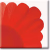Pepper Red
