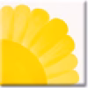 Vibrant Yellow