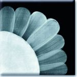 HC 0416