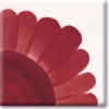 Light Red