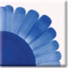 Celestial Blue