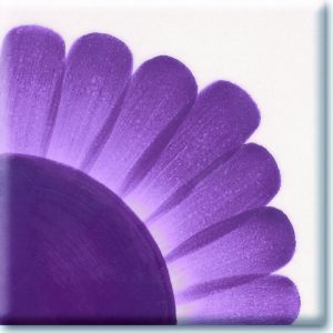 Violet