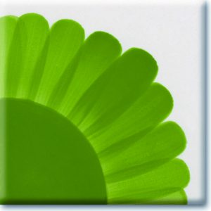 Leaf Green