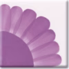 Cyclamen