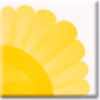 Lemon Yellow
