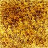 Midas Gold