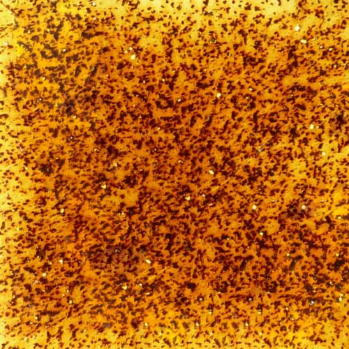 Home 48 Amber Sparks