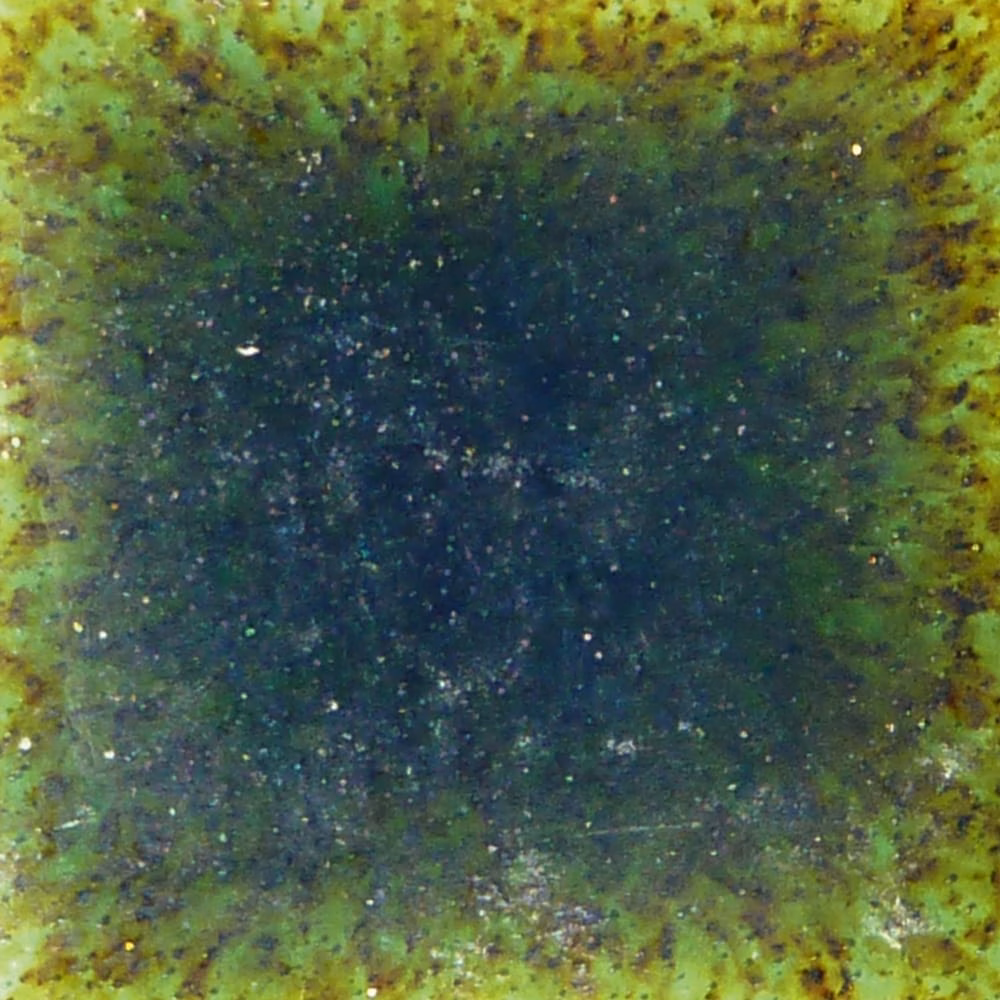 Emerald Forest
