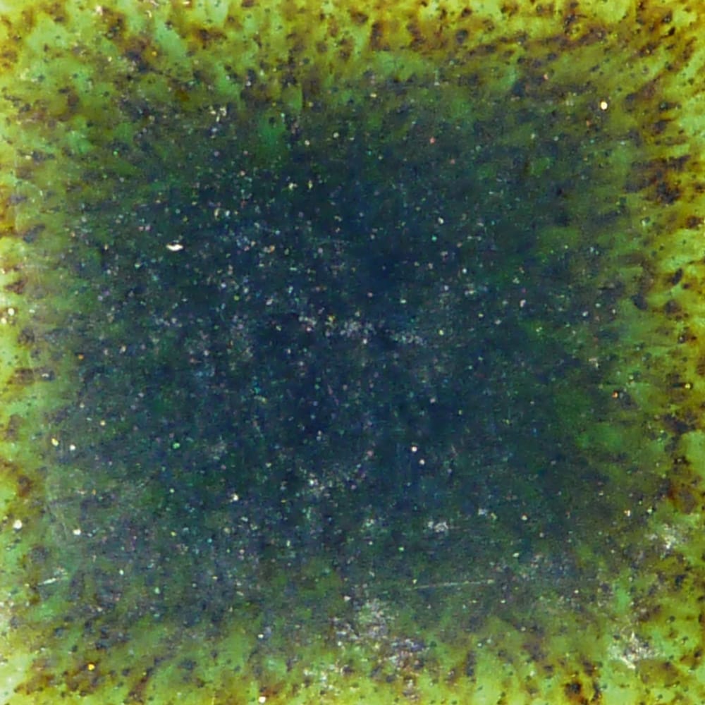 Emerald Forest 1 Emerald Forest