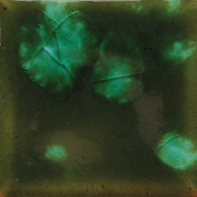 Woodland fantasy 1 Woodland Fantasy Mayco