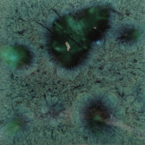 Peacock Green - Mayco