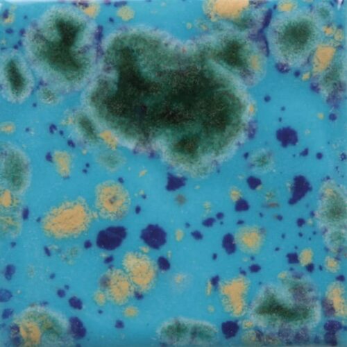 Blue caprice - Mayco