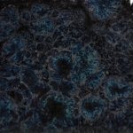 Obsidian - Mayco