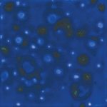 Lagoon blue - Mayco