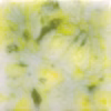 Lemon lime