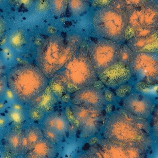 Koi Pond 1 Koi Pond - Mayco