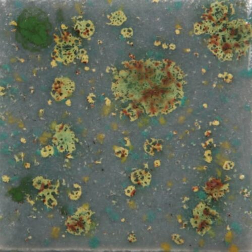 Mountain Moss - Mayco