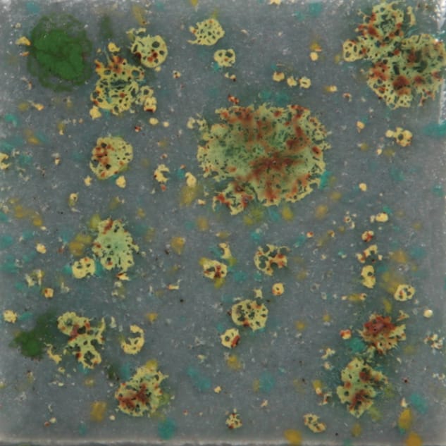 Mountain Moss 1 Mountain Moss - Mayco