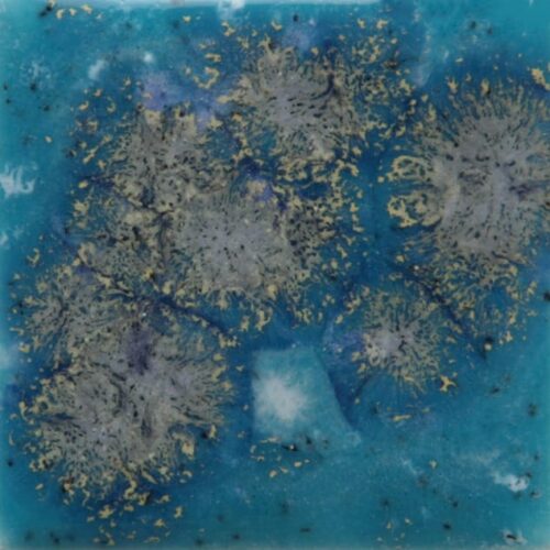 Home 25 Tahiti Grape - Mayco