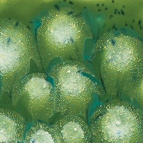 Spotted Kiwi - Mayco