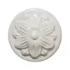 Arctic White