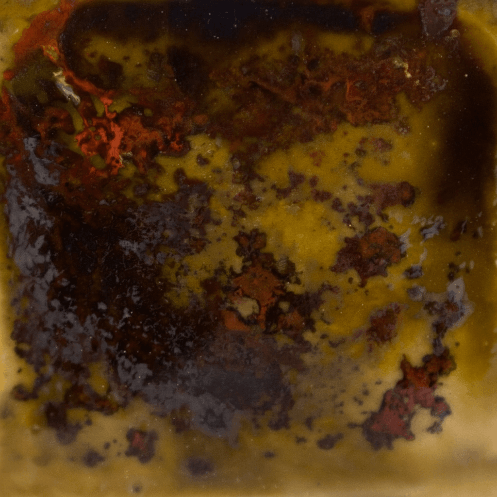 Woodland fantasy 2 Risultati estetici dello smalto in cottura