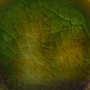 Risultati estetici dello smalto in cottura