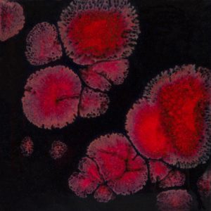 Black opal - Mayco