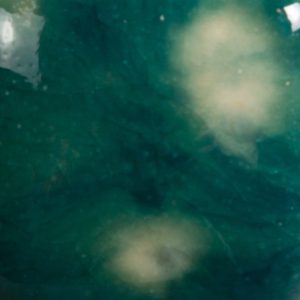 Risultati estetici dello smalto in cottura