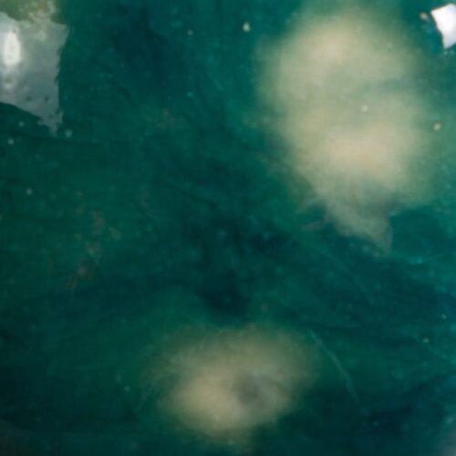 Risultati estetici dello smalto in cottura