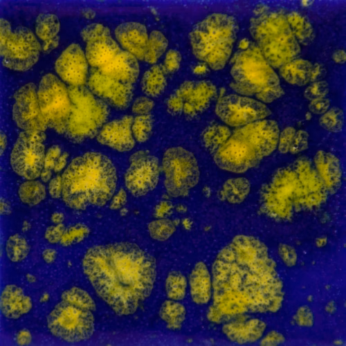 Home 39 Starry Night - Mayco