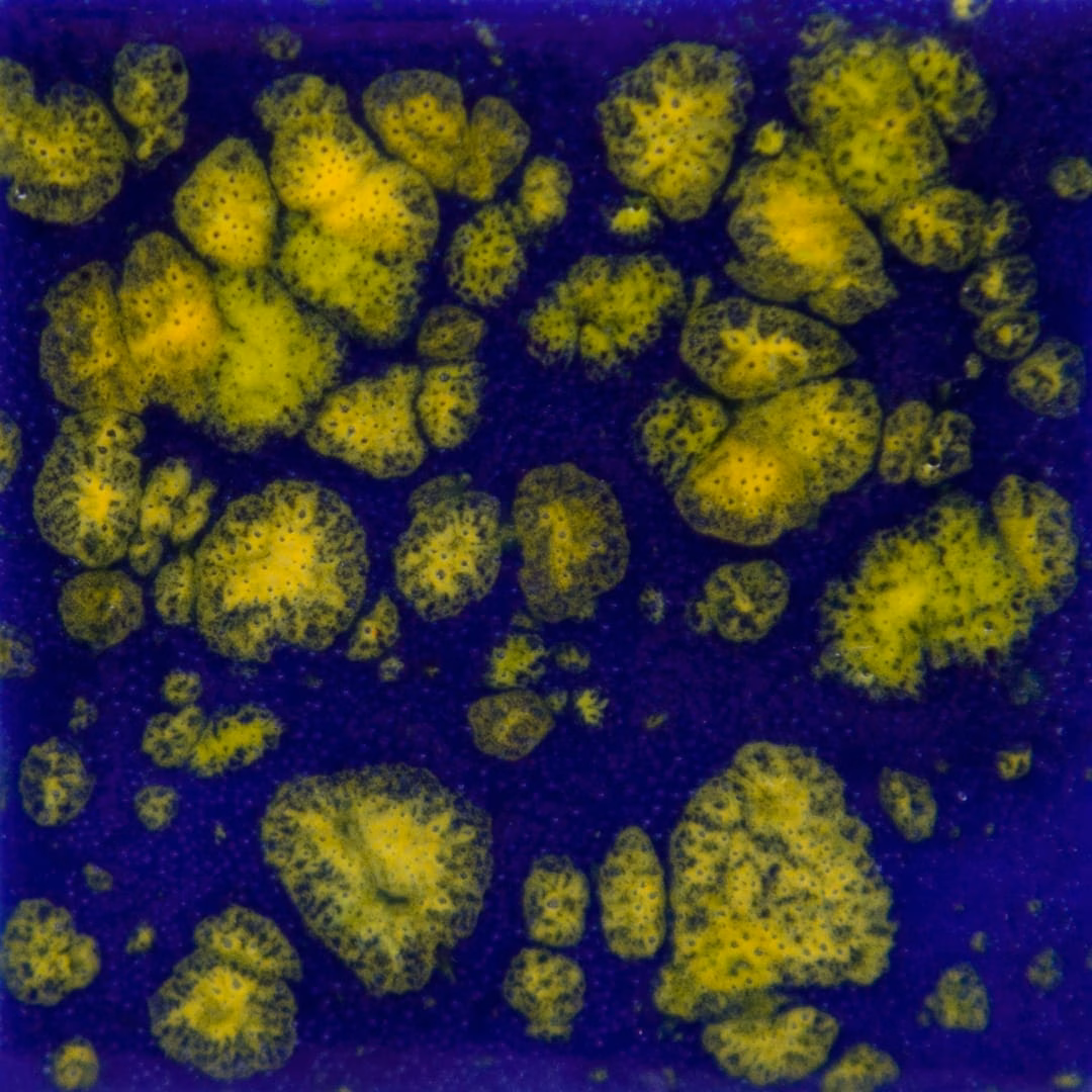 Starry Night 1 Starry Night - Mayco