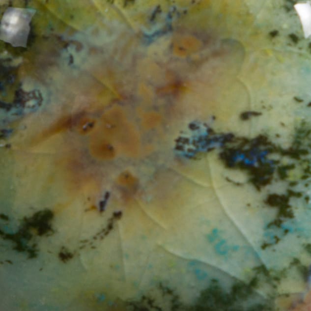 Mountain Moss 3 Risultati estetici dello smalto in cottura