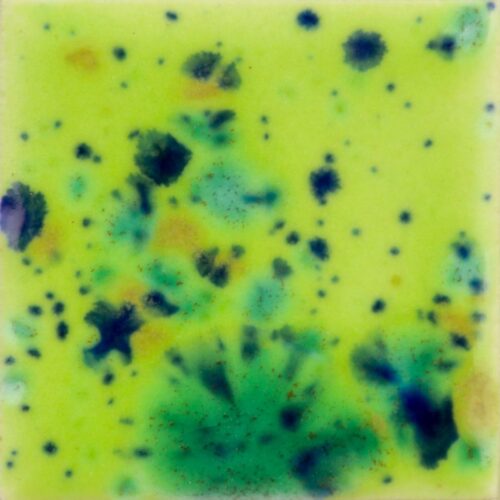 Home 32 Cloverfield - Mayco