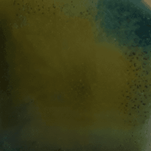 Risultati estetici dello smalto in cottura