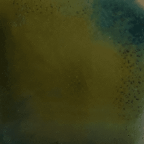 Risultati estetici dello smalto in cottura