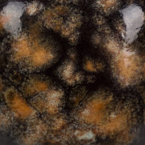 Risultati estetici dello smalto in cottura