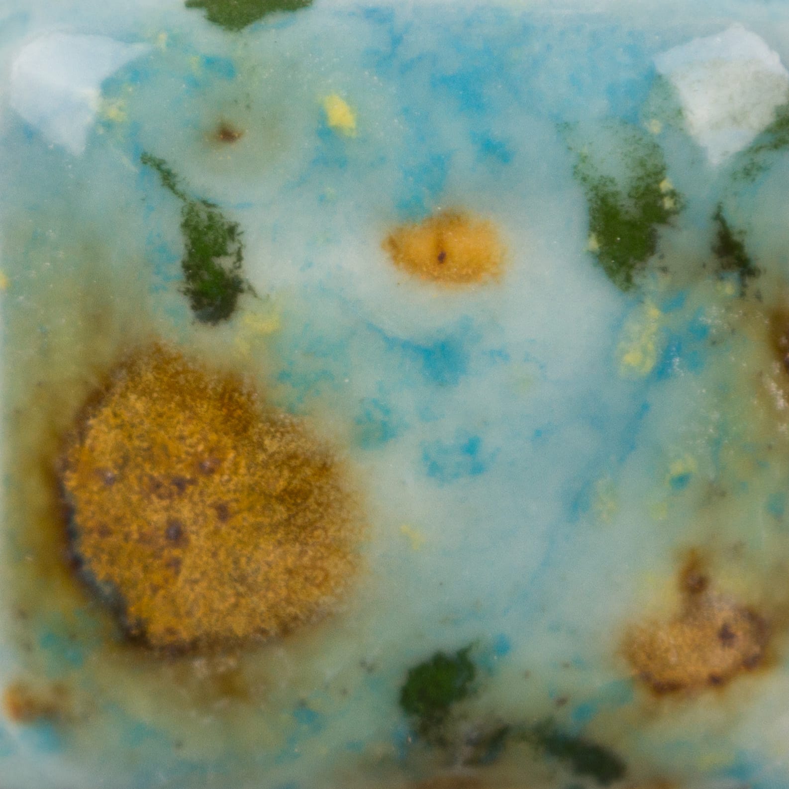 Mountain Moss 2 Risultati estetici dello smalto in cottura