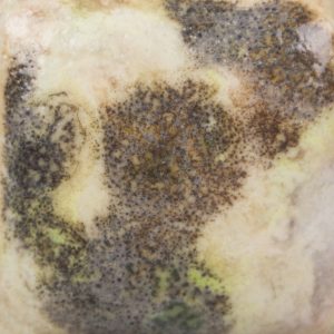 Risultati estetici dello smalto in cottura