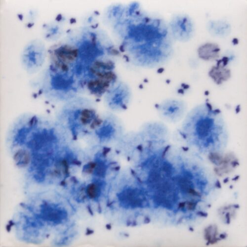 Home 23 Peacock Eyes - Mayco