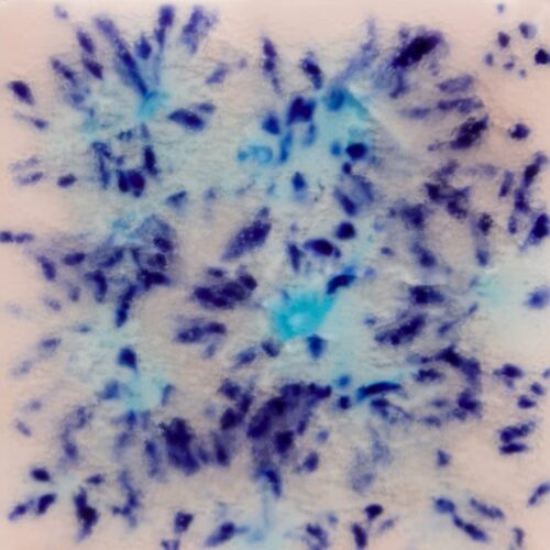 Northern Lights - Mayco