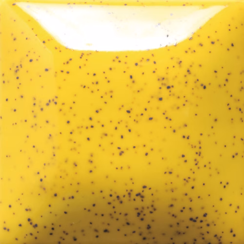 Home 22 Speckled Sunkissed