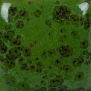 Risultati estetici dello smalto in cottura