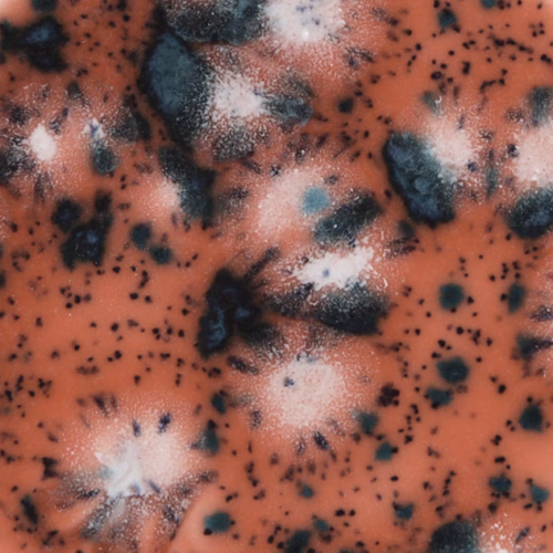 Coral puff