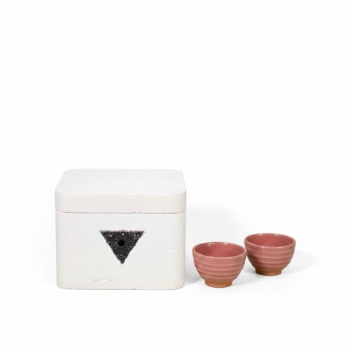 Fornetto magico per microonde