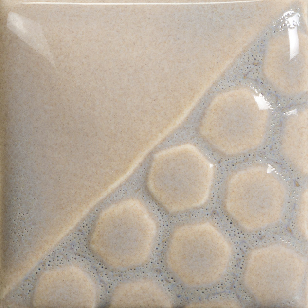 Oyster Shell 1 Oyster Shell