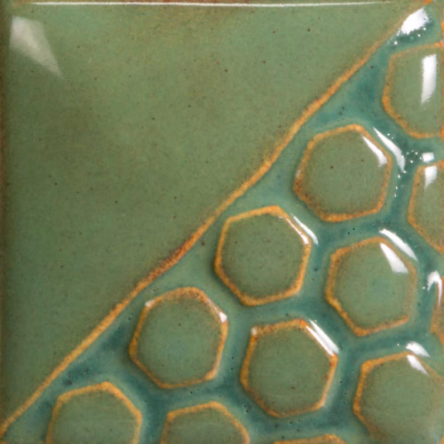 Turtle Shell