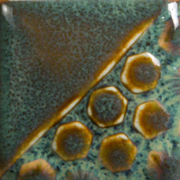 Turtle Shell 2 Turtle Shell - immagine 2